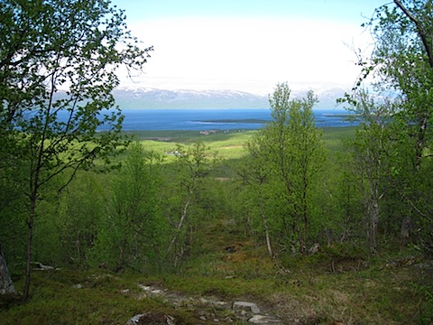 Abisko Juni 2009 dag 4 - 47.jpg